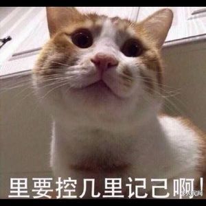 Meet your Posher, Xiaoou