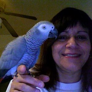 Meet your Posher, Cheryl