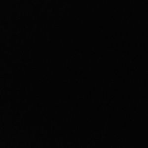 Meet your Posher, Toad