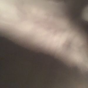 Meet your Posher, Layne