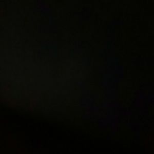 Meet your Posher, Delia