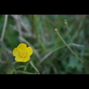 Meet your Posher, Billijo