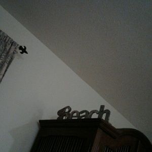 Meet your Posher, Kathi