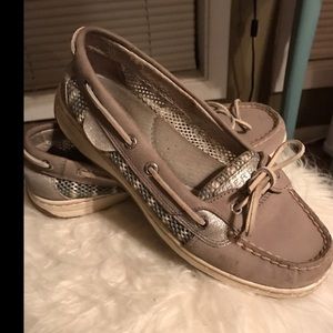 silver sperry angelfish