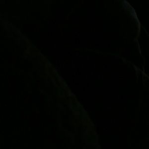 Meet your Posher, Lilleane