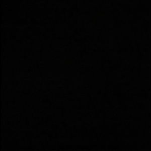 Meet your Posher, Lindy