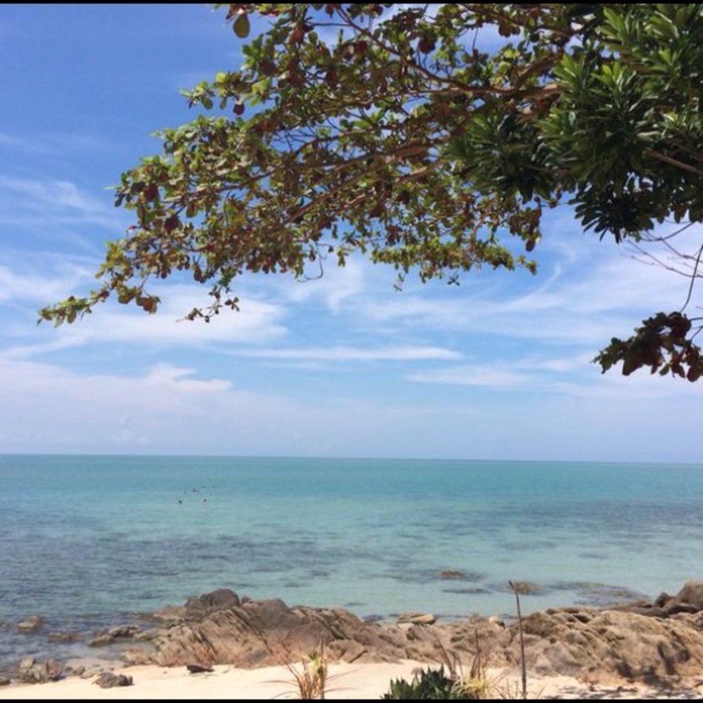 Meet your Posher, Di