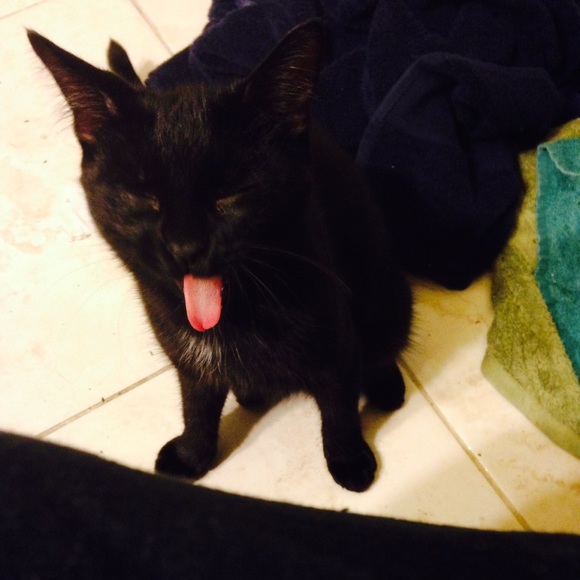 Meet your Posher, Jen - Picture 4 of 5