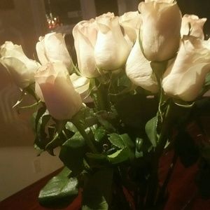 Meet your Posher, Janine