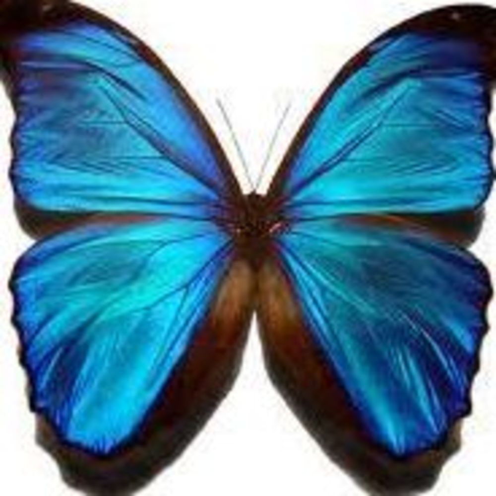 Meet your Posher, Barb