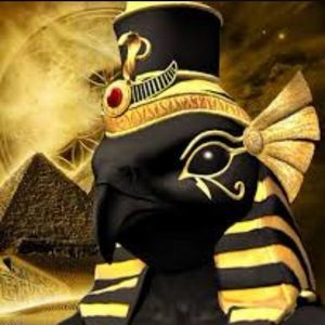 Meet your Posher, Derrick