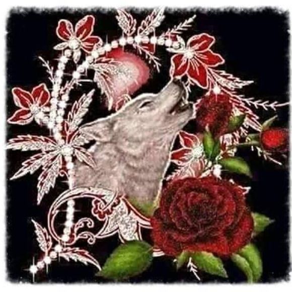 Meet your Posher, Deborah - Picture 1 of 1