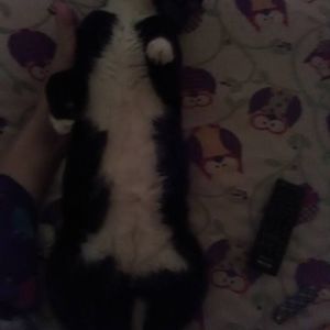 Meet your Posher, Lawna