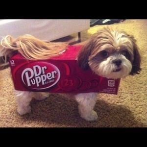 Meet your Posher, Yuki