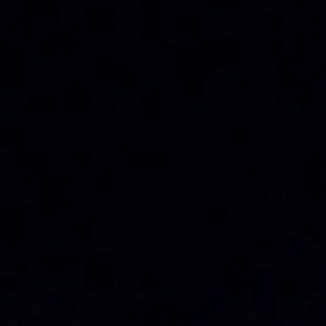 Meet your Posher, Young