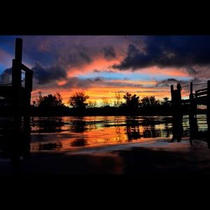 Meet your Posher, Conni