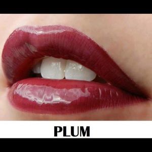Brand new plum LipSense lip color