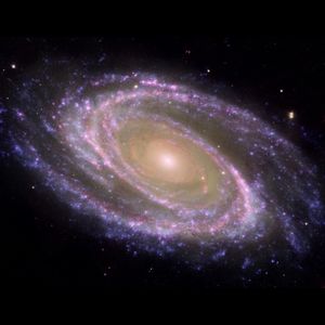 Meet your Posher, Connor