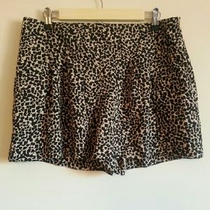 Ann taylor shorts