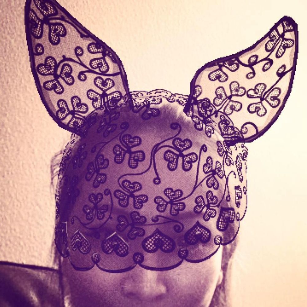 Meet your Posher, Kim