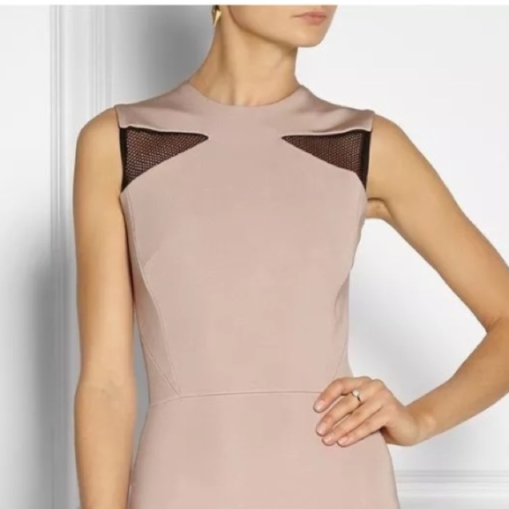 SOLD Victoria Beckham Pink Nude Mesh Dress #288 - Picture 2 of 4
