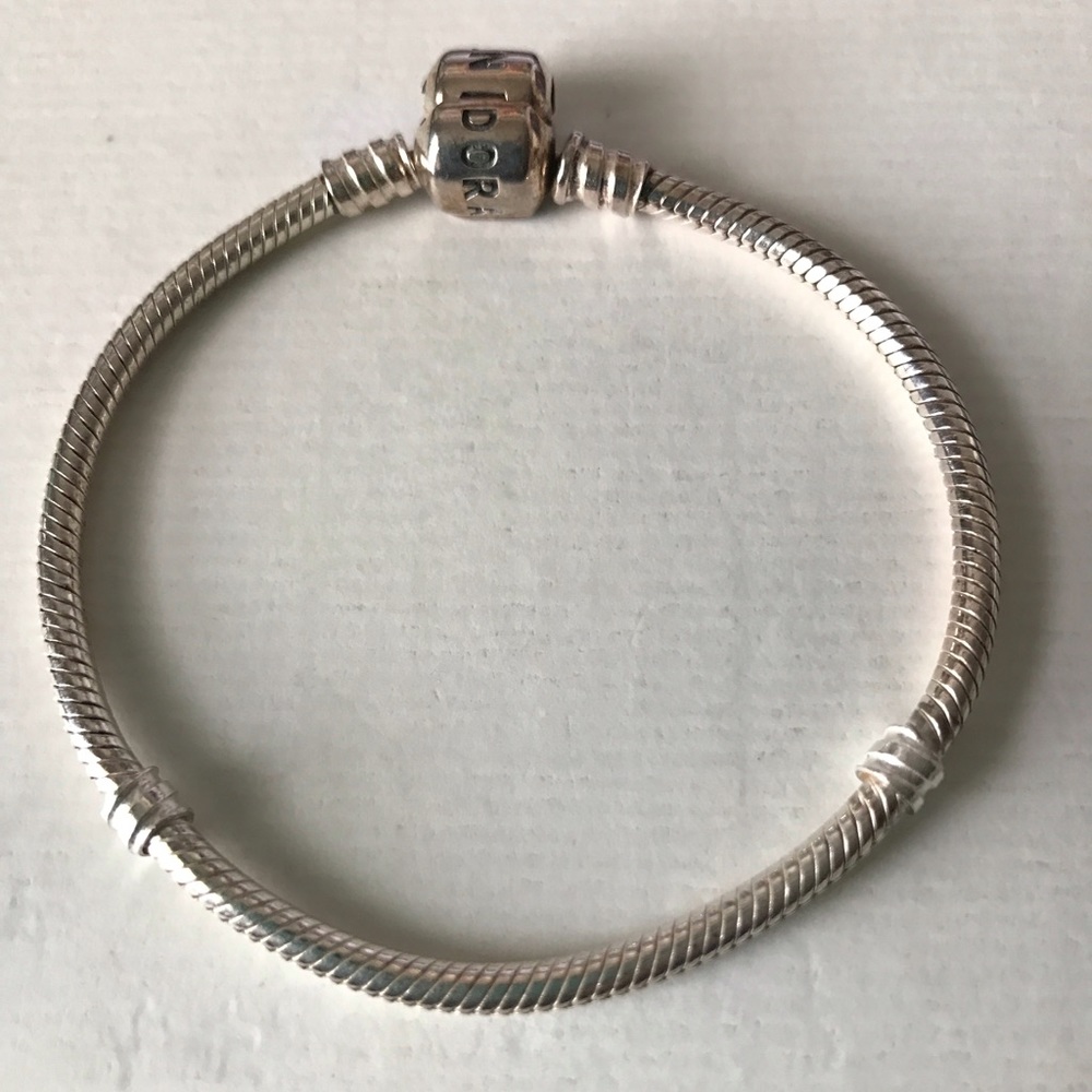 Pandora bracelet for charms