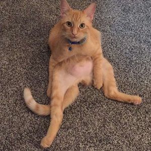 Meet your Posher, Olivia