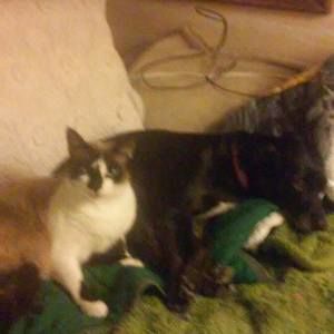 Meet your Posher, Connie sue