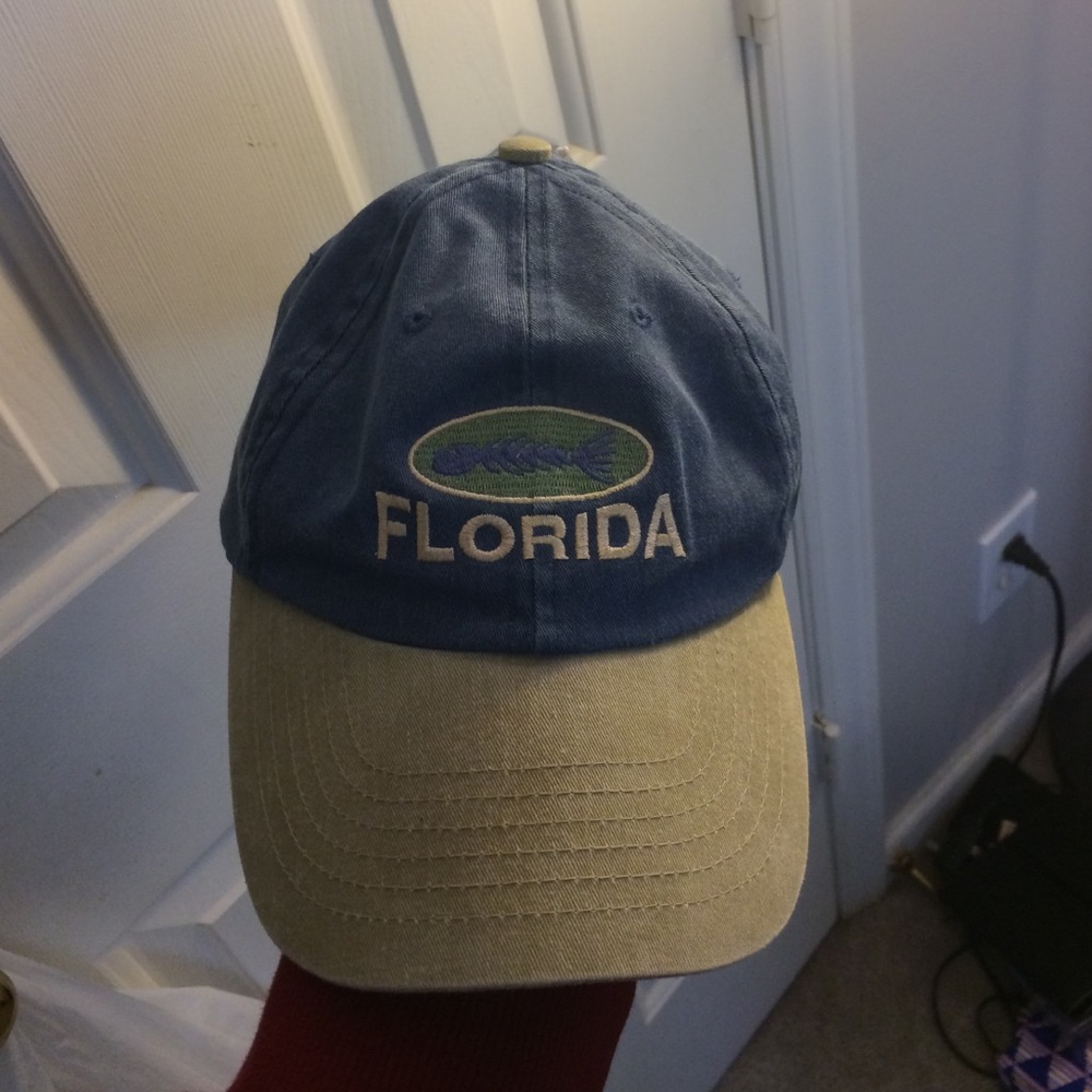Blue and green Florida hat
