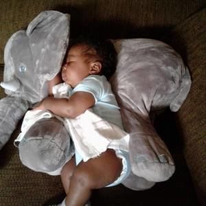 Meet your Posher, Rajah