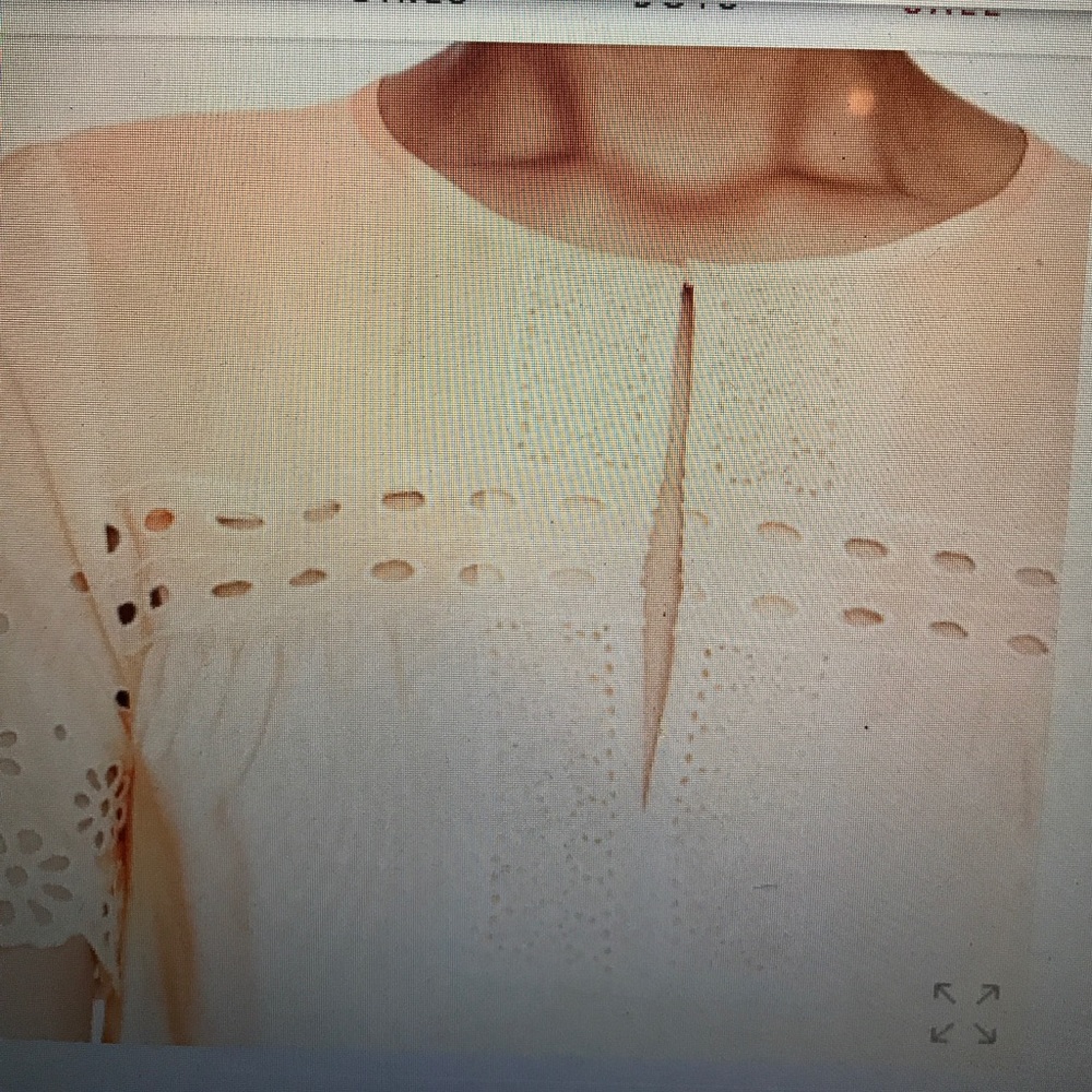 NWT Jcrew 100% silk eyelet detail blouse top sz8 - Picture 6 of 6