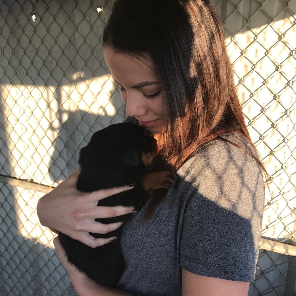 Meet your Posher, Veronica