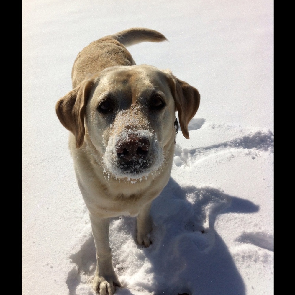 Meet your Posher, Margie