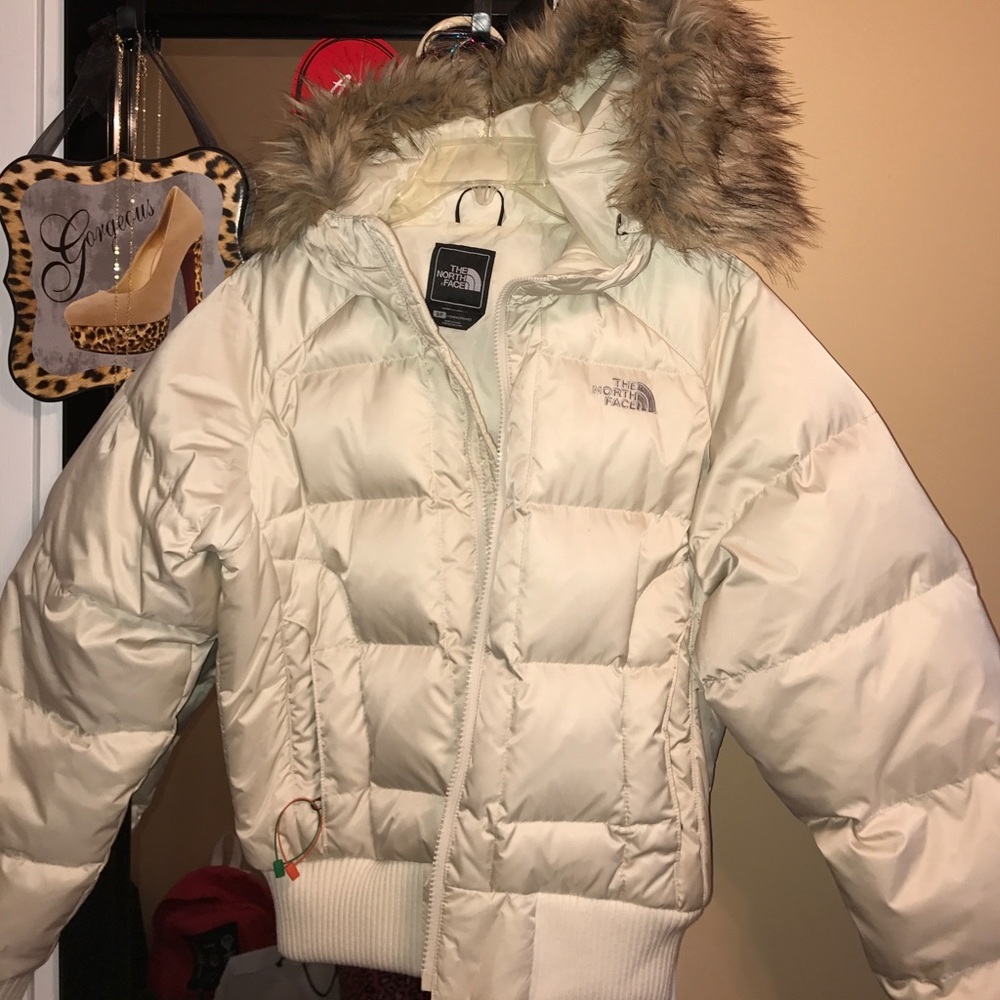 North Face Winter Jacket