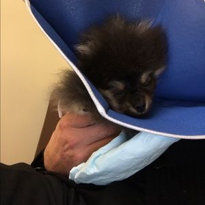 Meet your Posher, Robert