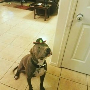 Meet your Posher, Angela