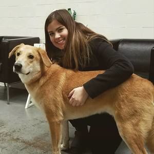 Meet your Posher, Abby