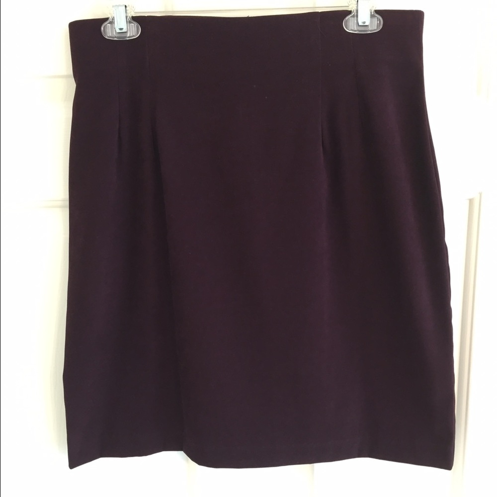 Plum, suede like aline skirt.