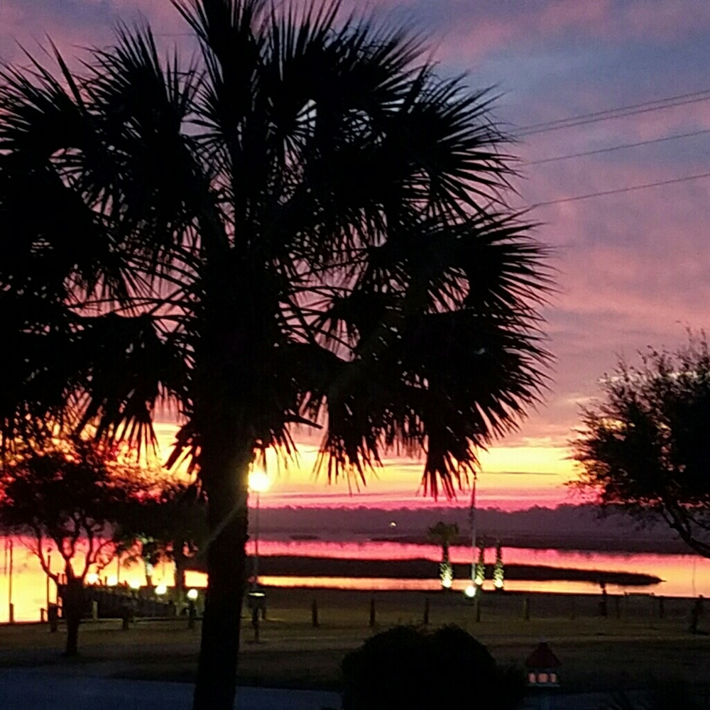 Meet your Posher, Jenn