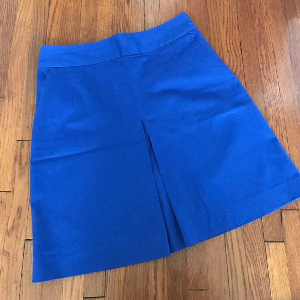 Express front pleated skirt