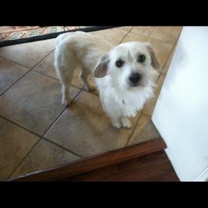 Meet your Posher, Jackie