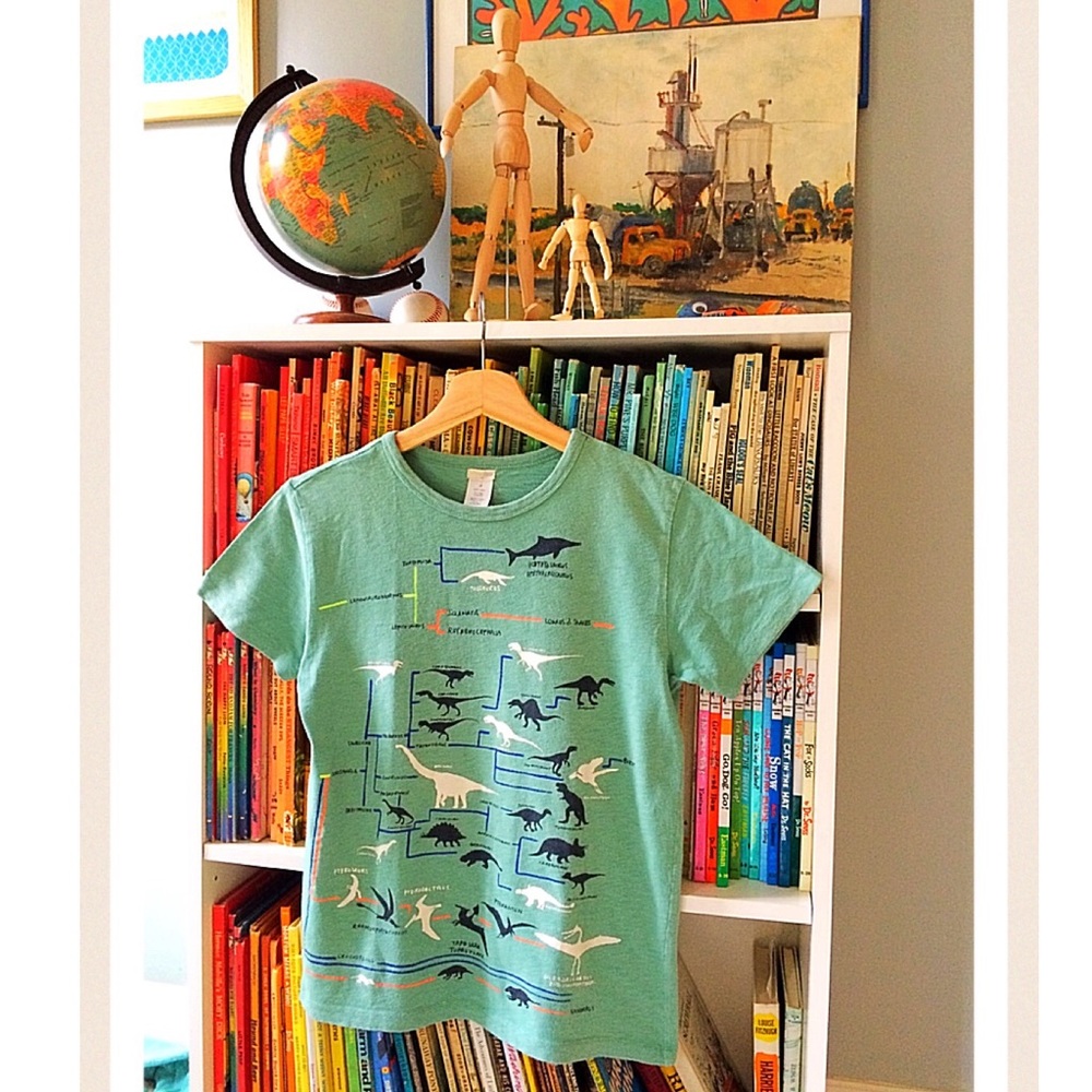 Crewcuts JCrew Dinosaur Tshirt size 12