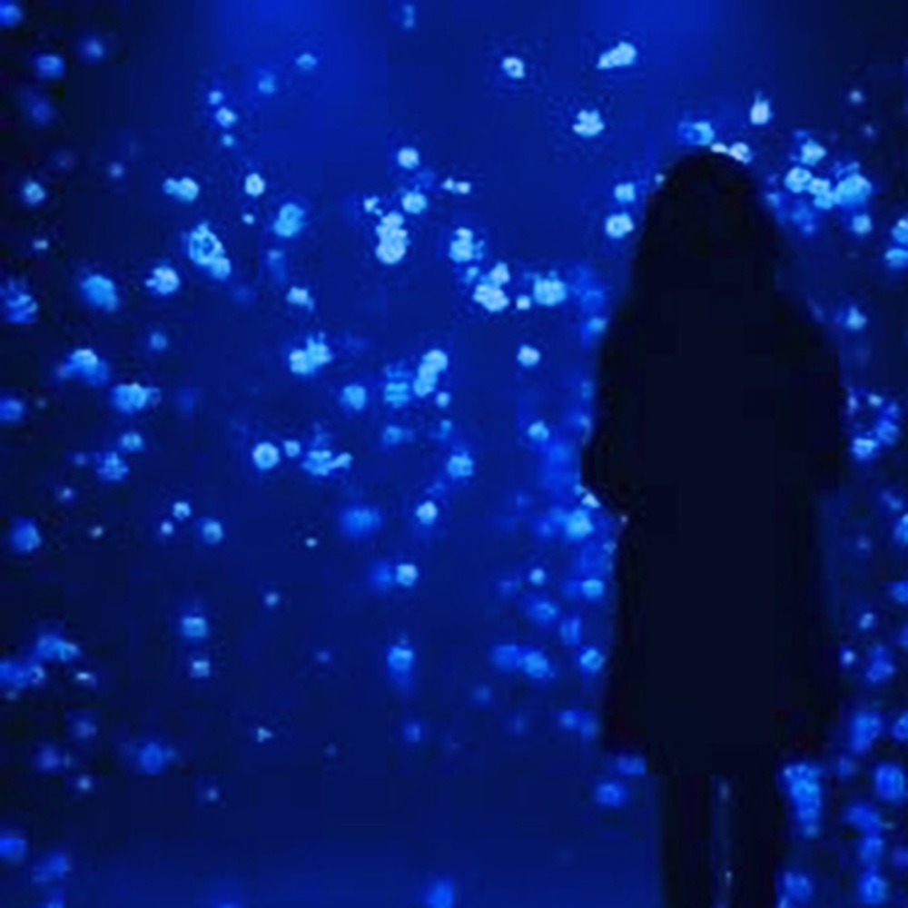 Meet your Posher, Mari