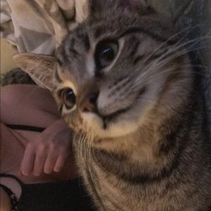 Meet your Posher, Adriana