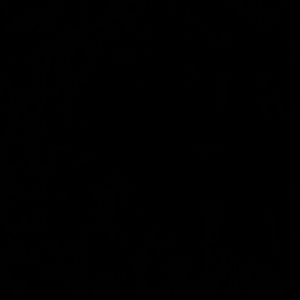 Meet your Posher, Michaela