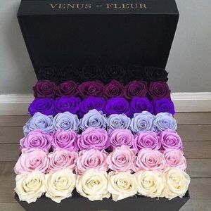 Meet your Posher, Mai