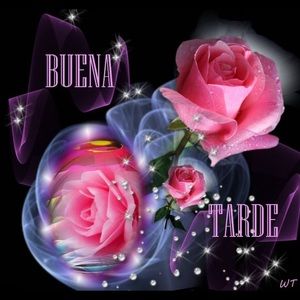 Meet your Posher, Elba