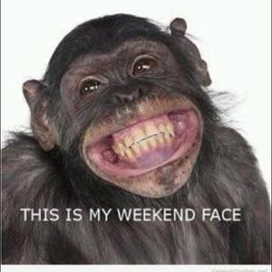 Meet your Posher, Sylvia