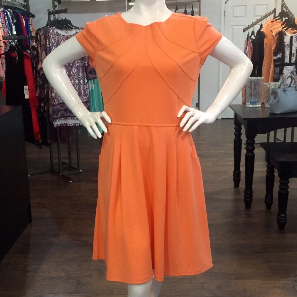 ✨On Sale!✨ONLY $29!