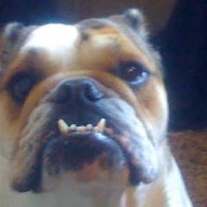 Meet your Posher, Cameron